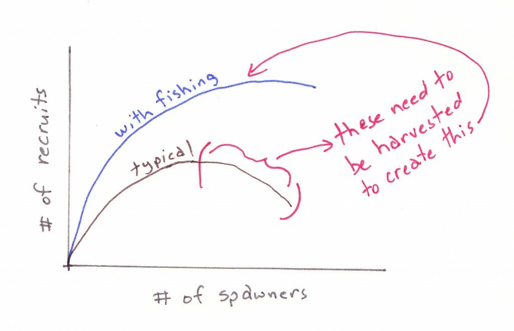 stock recruitment_MSY drawings_0001