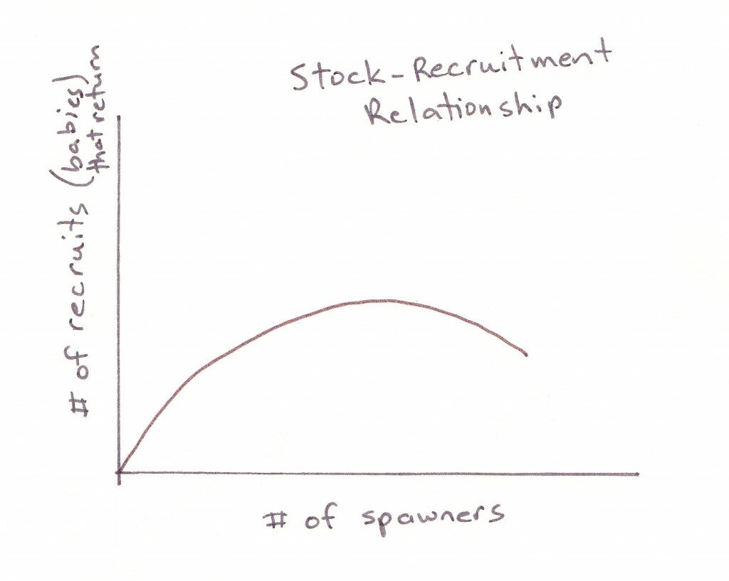 stock recruitment_MSY drawings_0002