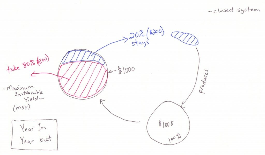 stock recruitment_MSY drawings_0003