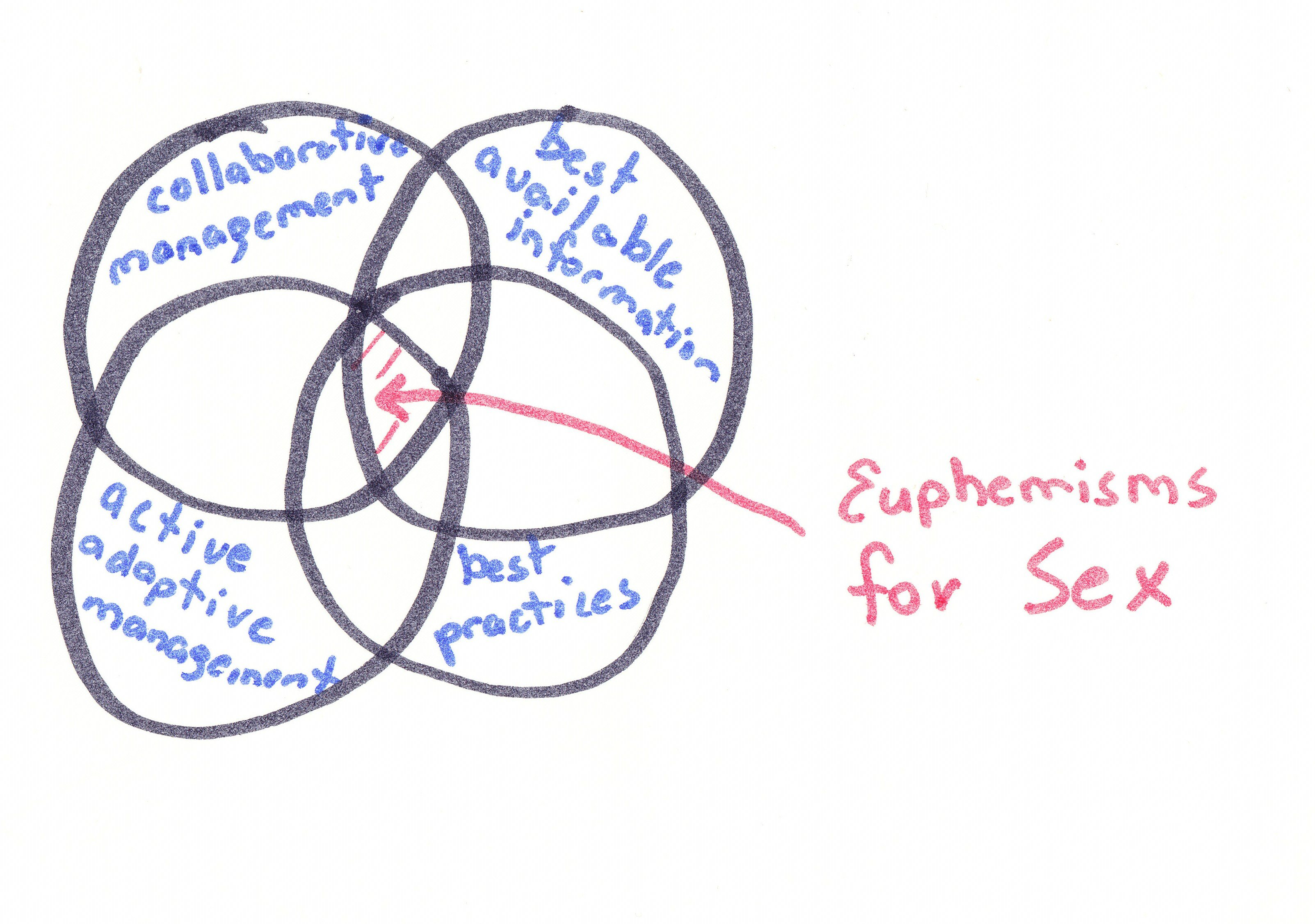 euphamisms for sex Gay military in iraq