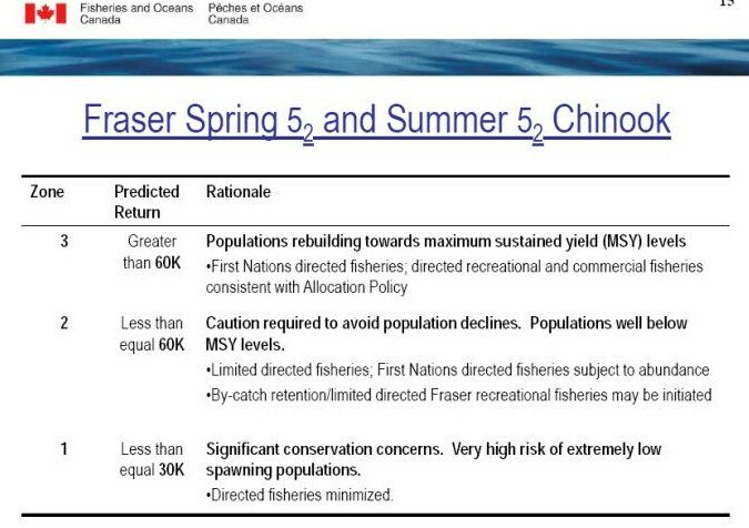 Fraser Chinook 2010