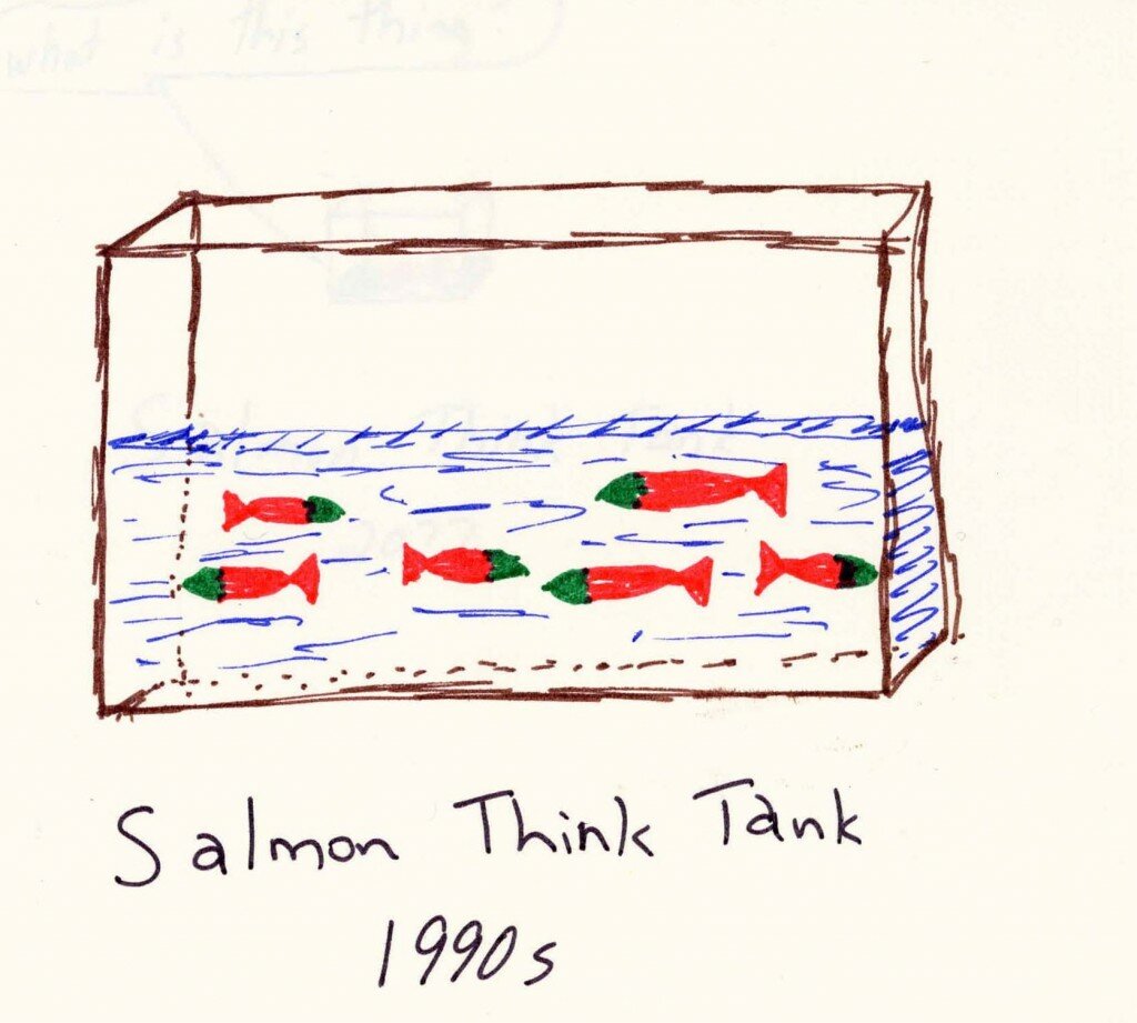 salmon - 4 a