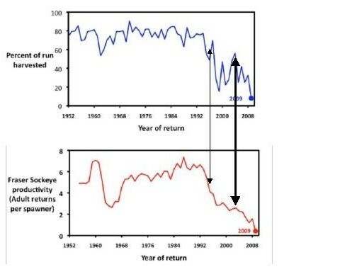 think tank graph comparison