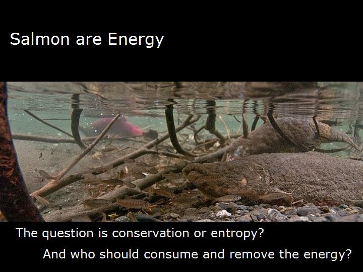 Cohen_PG_Sept23_2010_Salmon are energy