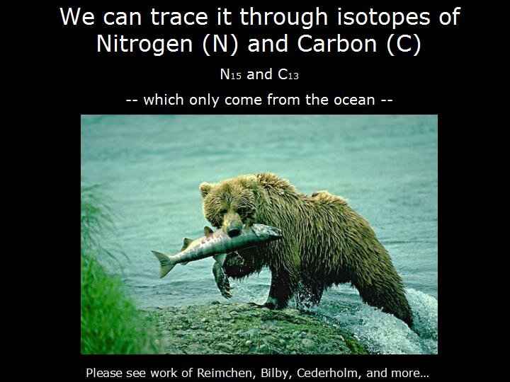 Cohen_PG_Sept23_2010_nitrogen and carbon