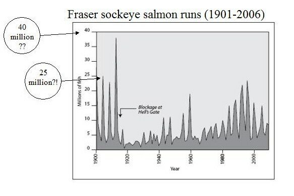 Fraser sockeye historical_Mekong report