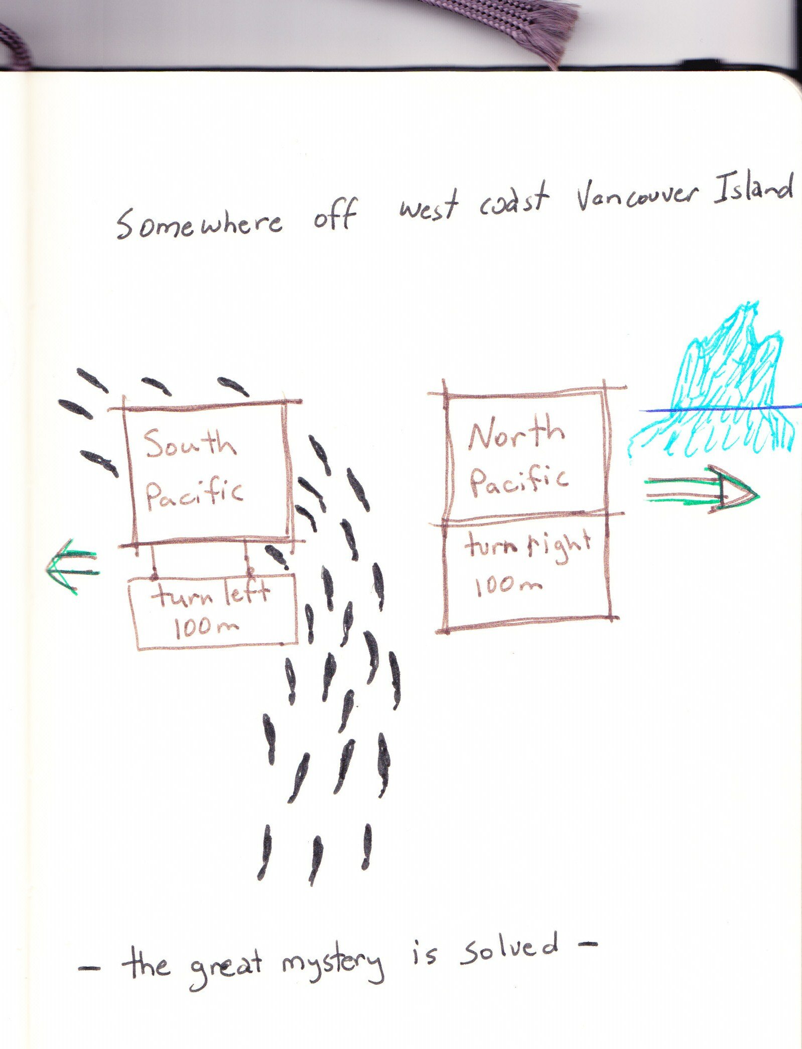 Solving salmon mysteries