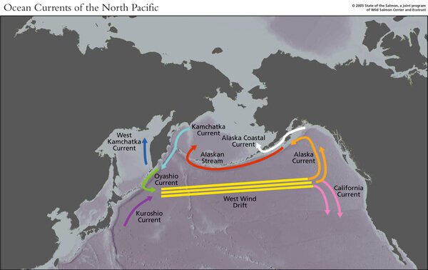 currents_North Pacific 300dpi