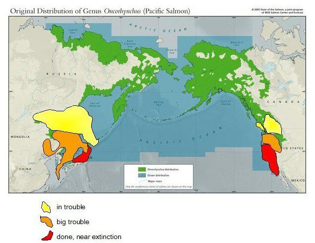 distribution in trouble
