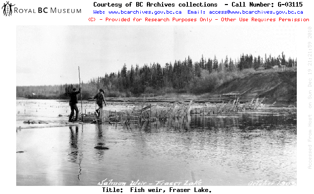 Fraser Lake fish weir_1908