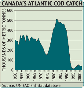 f-canad-atlantic-cod-catch
