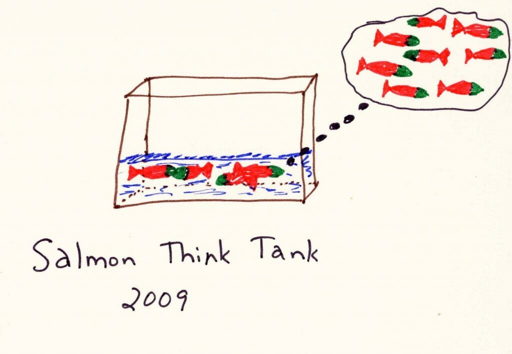 salmon think tank 3