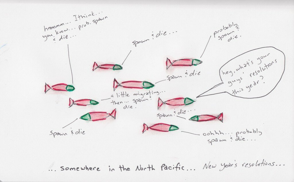 new years resolutions